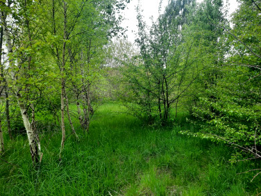 Działka Wierzchucino