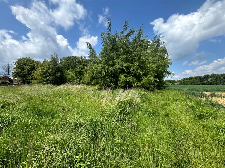 Działka budowlana Hecznarowice