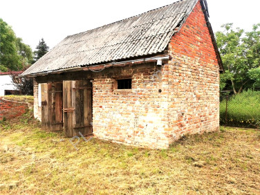 Działka Budy-Grzybek