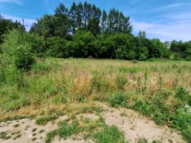 Działka budowlana Nowy Sącz