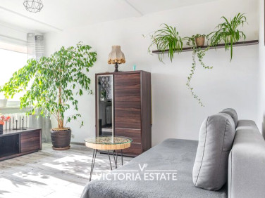 Mieszkanie Kraków wynajem