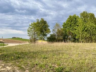 Działka siedliskowa Rydzewo