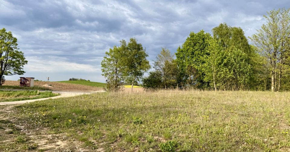 Działka siedliskowa Rydzewo