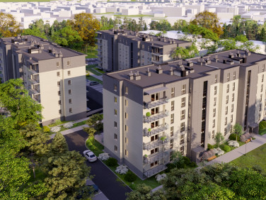 Szczytno-Dąbrowskiego