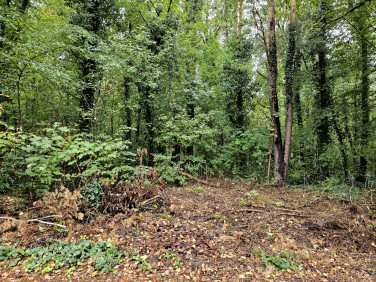 Działka budowlana Sękocin Stary sprzedam