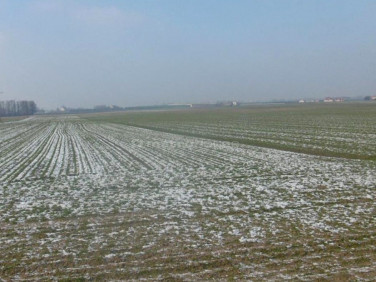 Działka inwestycyjna Toruń