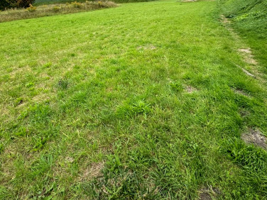 Działka usługowa Opole