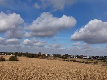 Działka Wojciechówka