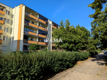 Mieszkanie Włocławek