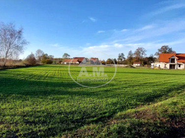 Działka rolna Biedaszków Mały sprzedam