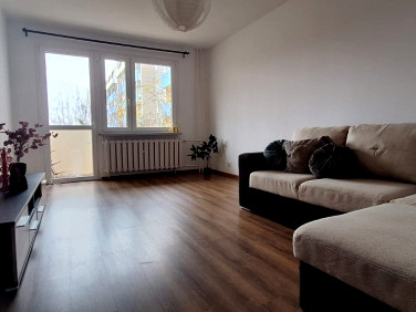 Mieszkanie blok mieszkalny wynajem