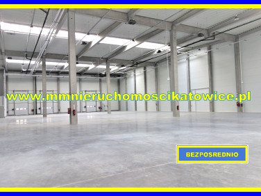 Budynek użytkowy Siemianowice Śląskie