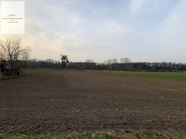 Działka budowlana Chełmno