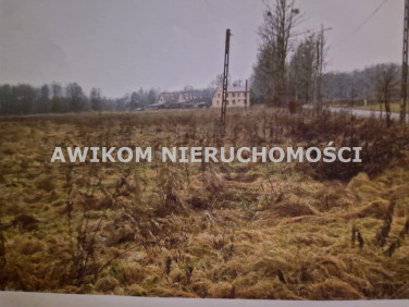 Pusta działka Białowieża