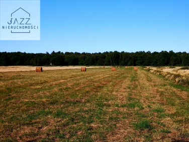Działka rolna Wierzchucino