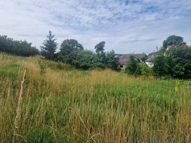 Działka budowlana Mierzeszyn