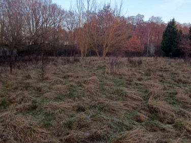 Zabudowana działka Pilchowo