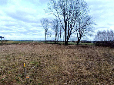 Działka budowlana Przyjaźń