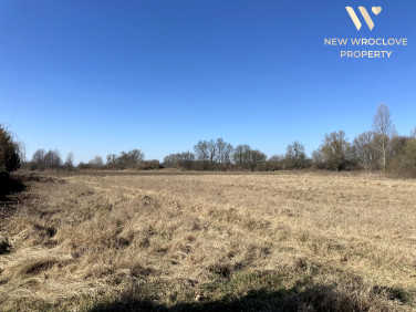 Działka rolna Szewce
