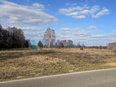 Działka budowlana Dąbrówka