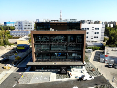 Lokal Katowice wynajem