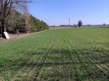 Działka budowlano-rolna Dąbrówka