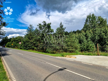 Działka budowlana Bojano