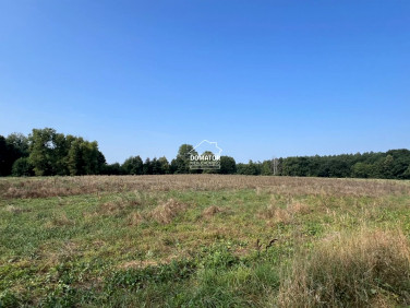 Działka inwestycyjna Niwy