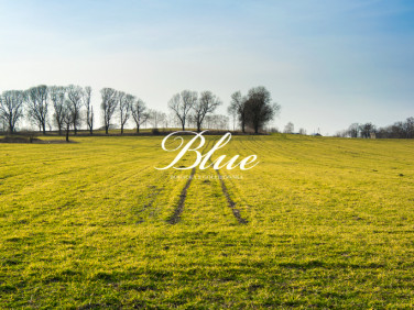 Działka rolna Karwowo