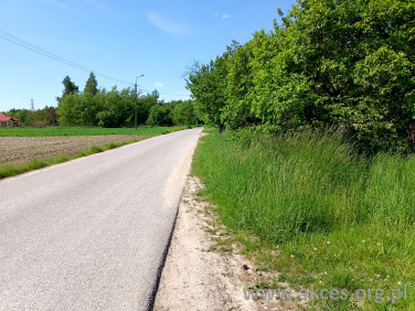 Działka usługowa Robercin