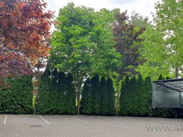 Mieszkanie Stara Iwiczna