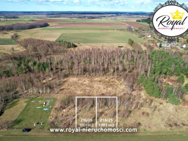 Działka inna Buczek