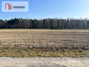 Działka inna Ojrzanowo