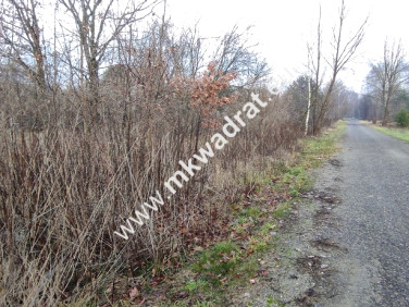 Działka budowlana Budy-Grzybek