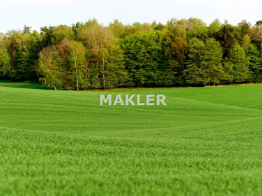 Działka budowlana Osielsko sprzedam