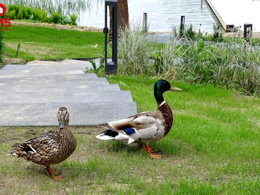 Budynek użytkowy Augustów