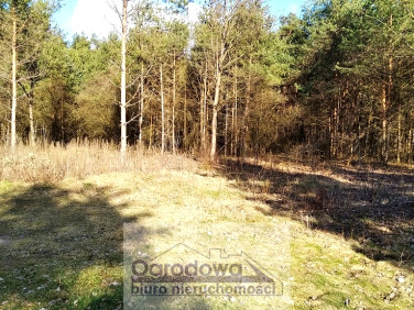 Działka budowlana Prażmów