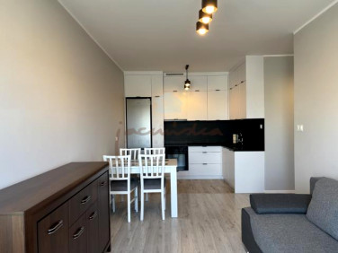 Mieszkanie Gniezno wynajem