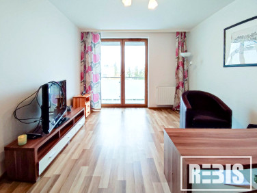 Mieszkanie Kraków wynajem