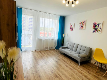 Mieszkanie Zielona Góra