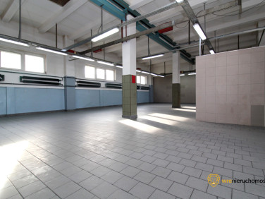 Lokal Środa Śląska