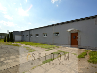 Budynek użytkowy Legnica
