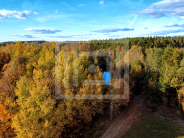 Działka budowlana Gromadzin