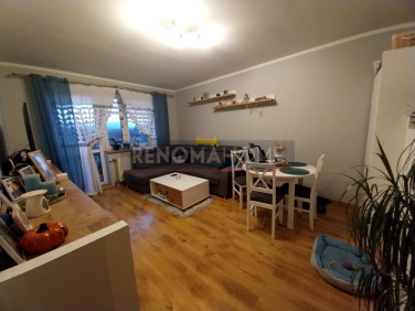 Mieszkanie Świdnica