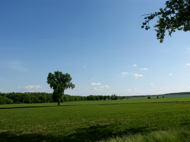 Działka budowlana Siedliska