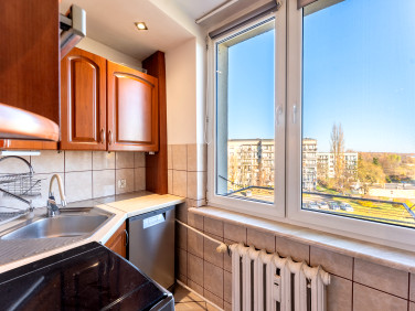 Mieszkanie Sosnowiec wynajem