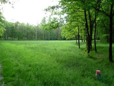 Działka rolna Świdnica