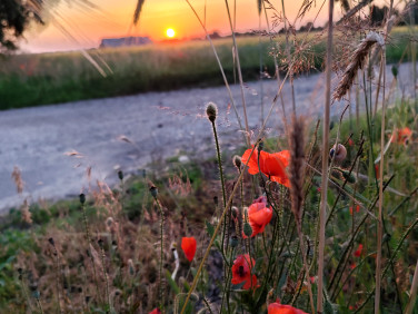 Działka Pobiedziska