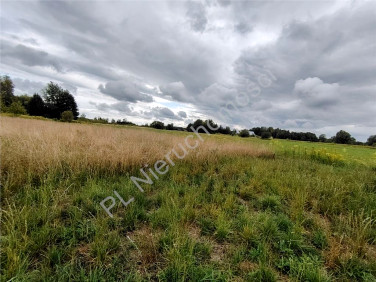 Działka Książenice