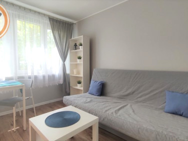 Mieszkanie Łódź wynajem